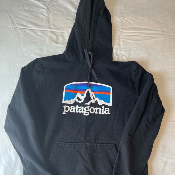 Patagonia Other - Patagonia Hoodie